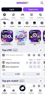 Казино шоты ойын автоматтарының әлемі